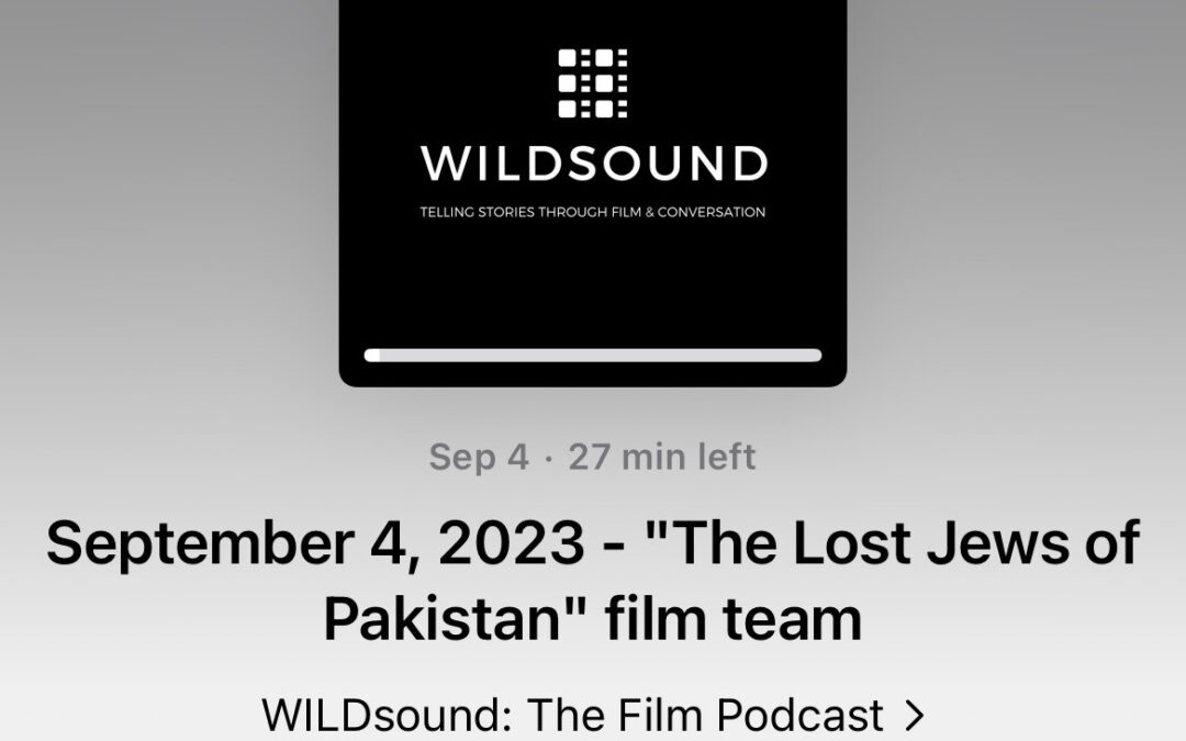 Blog - Wildsound Podcast